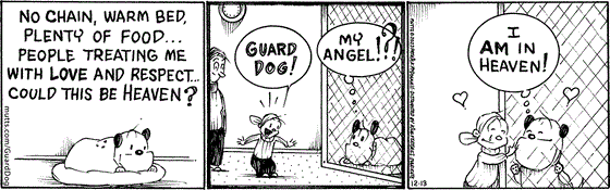 In this MUTTS comic strip, Guard Dog is sitting peacefully at the vet, wondering about all the love and food and respect he's been given when Doozy comes in. "Guard Dog!" She exclaims, and Guard dog thinks to himself, "My angel!?! I am in heaven!"