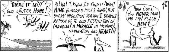 December 13 1995, Daily Comic Strip