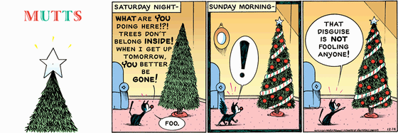 December 14 2014, Sunday Comic Strip