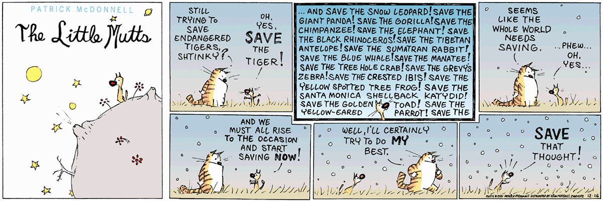 December 16 2001, Sunday Comic Strip