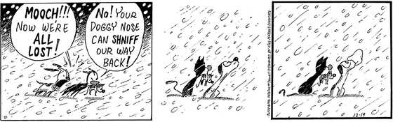 December 19 1996, Daily Comic Strip