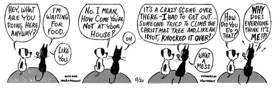 December 20 1994, Daily Comic Strip