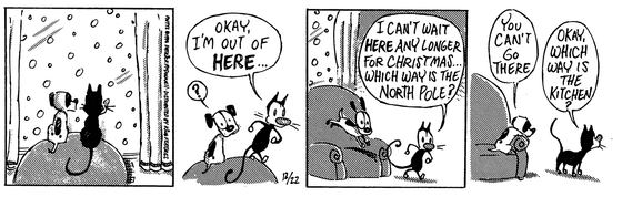December 22 1994, Daily Comic Strip