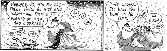 December 23 1996, Daily Comic Strip