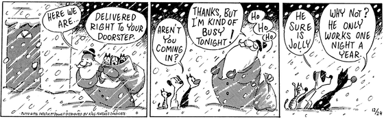 December 24 1996, Daily Comic Strip