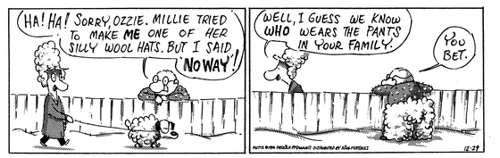 December 29 1994, Daily Comic Strip