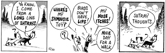 December 30 1997, Daily Comic Strip