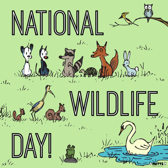 'National Wildlife Day' Print
