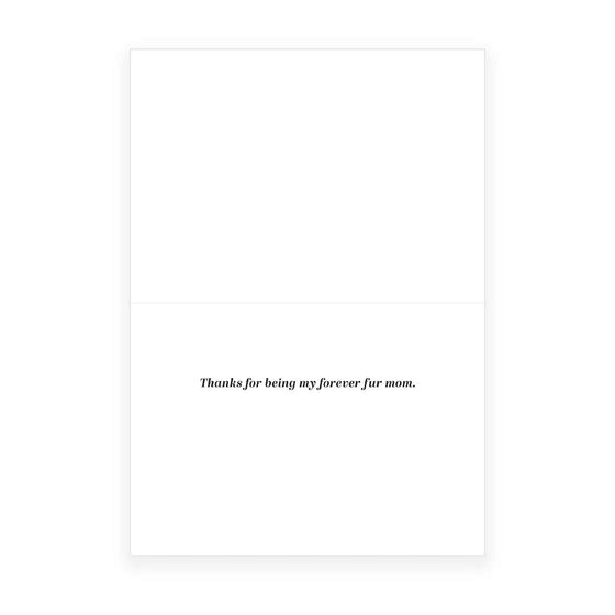 'Lost Then Found' Greeting Card (From Pet)