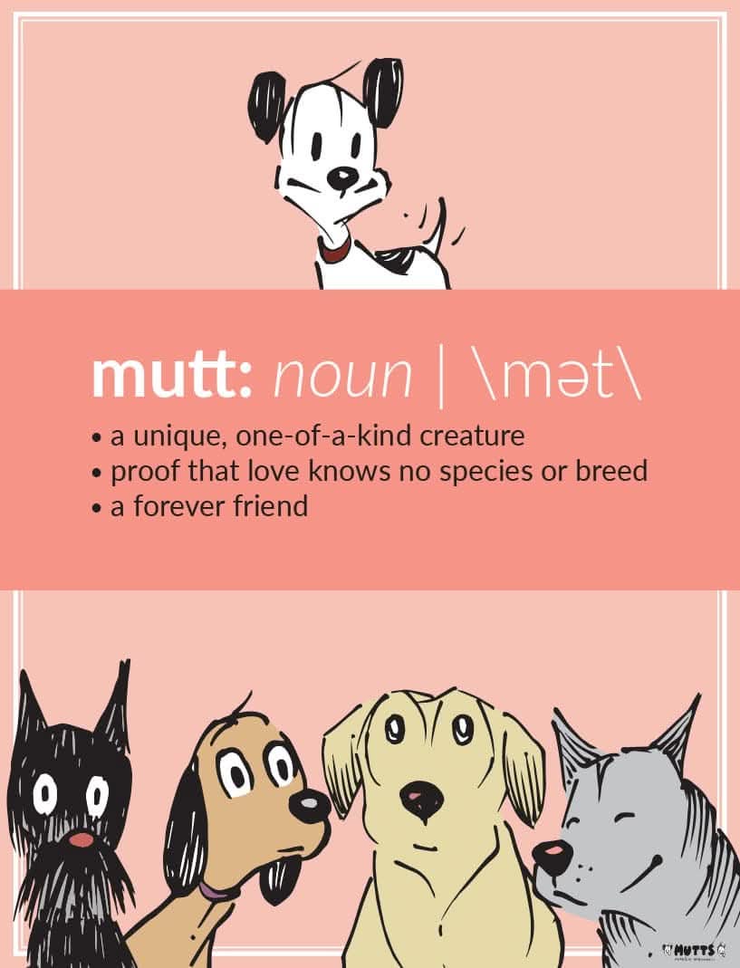 'Mutt Definition' Poster MUTTS