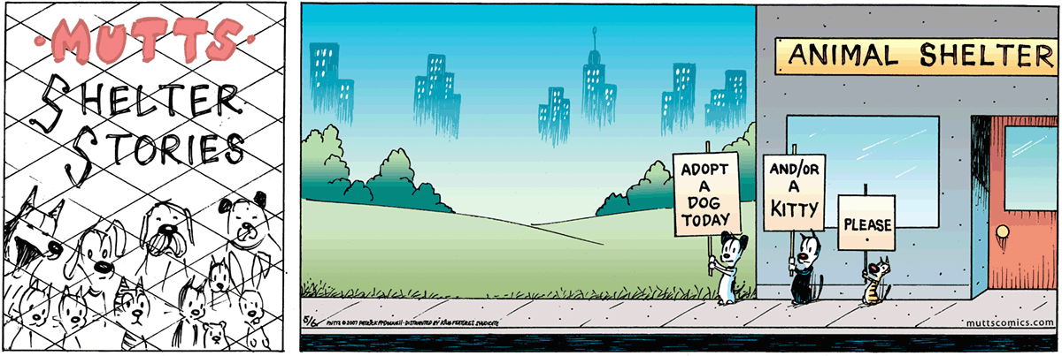 May 6 2007, Sunday Comic Strip