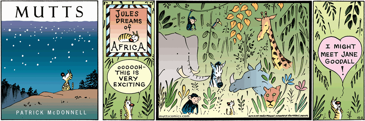 December 2 2007, Sunday Comic Strip